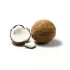 Coconut Oil Hindistan Cevizi Yağı 100gr