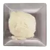 Collagen Kolajen 100gr